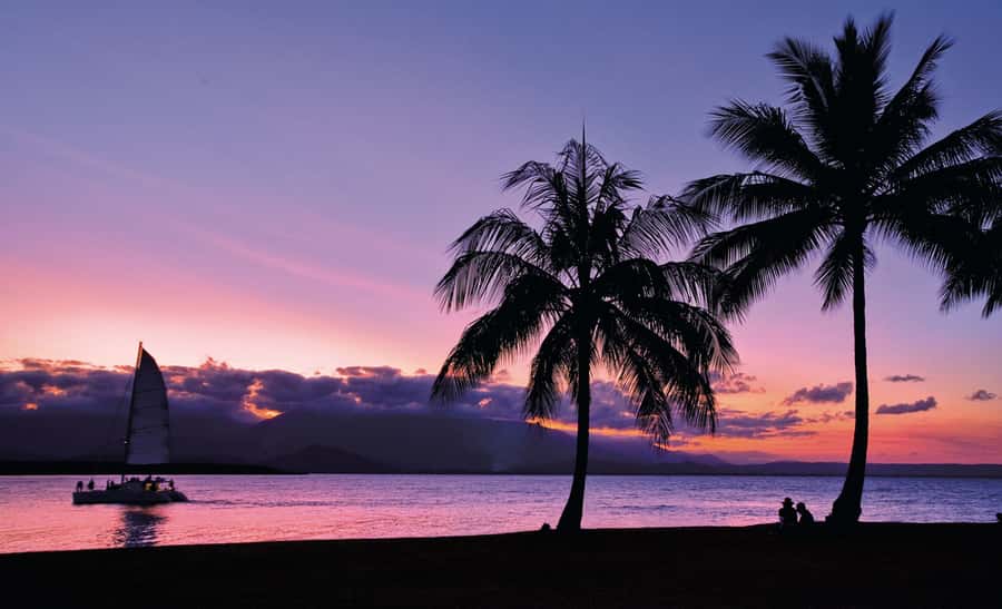 Port Douglas: Sunset Sailing Cruise on Luxury Catamaran - How the $66 price works out