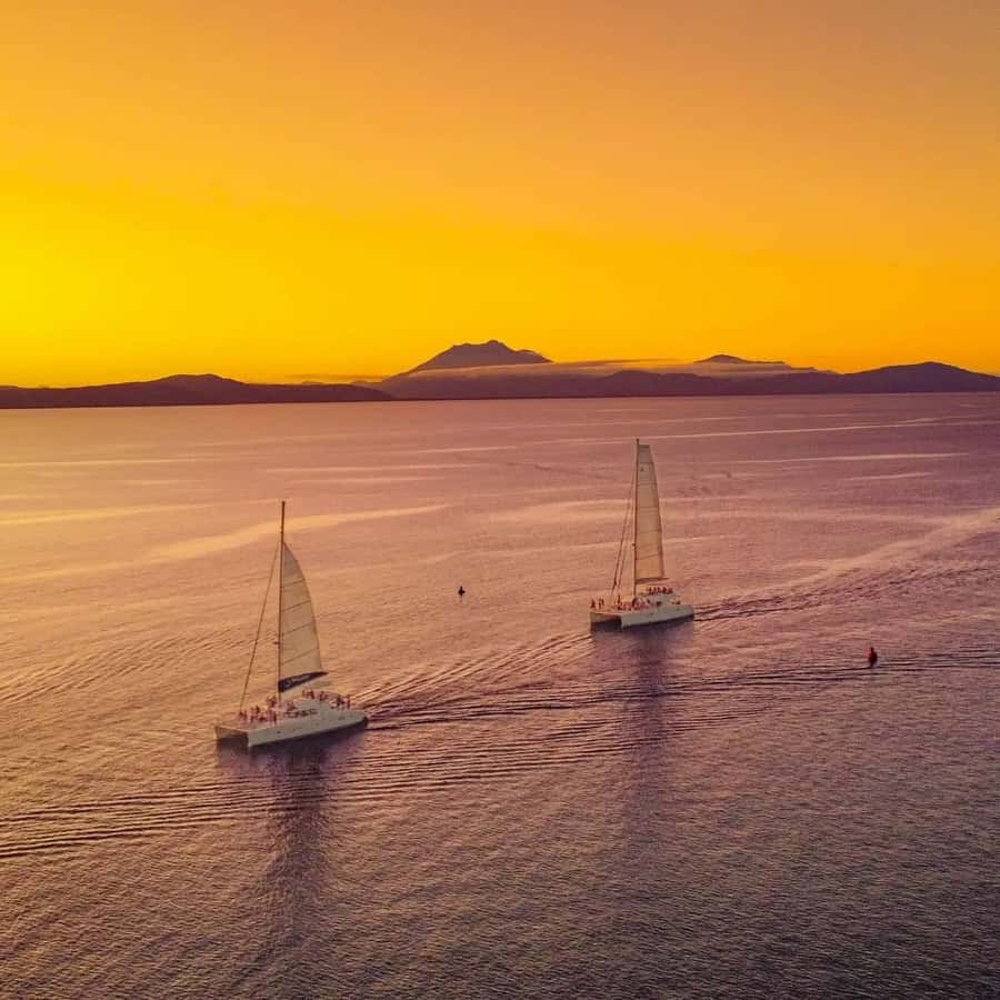 Port Douglas: Sunset Sailing Cruise on Luxury Catamaran - Practical details that make the evening easier