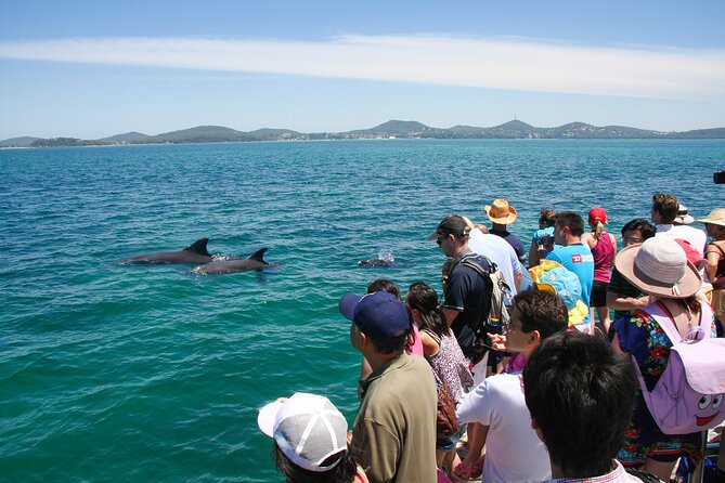 Port Stephens: Dolphin Discovery Cruise - How much value do you get for $28?