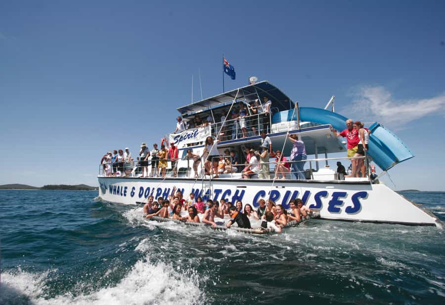 Port Stephens: Dolphin Watch Cruise with Swimming and Slides - Setting out from Wharf 1 in Nelson Bay