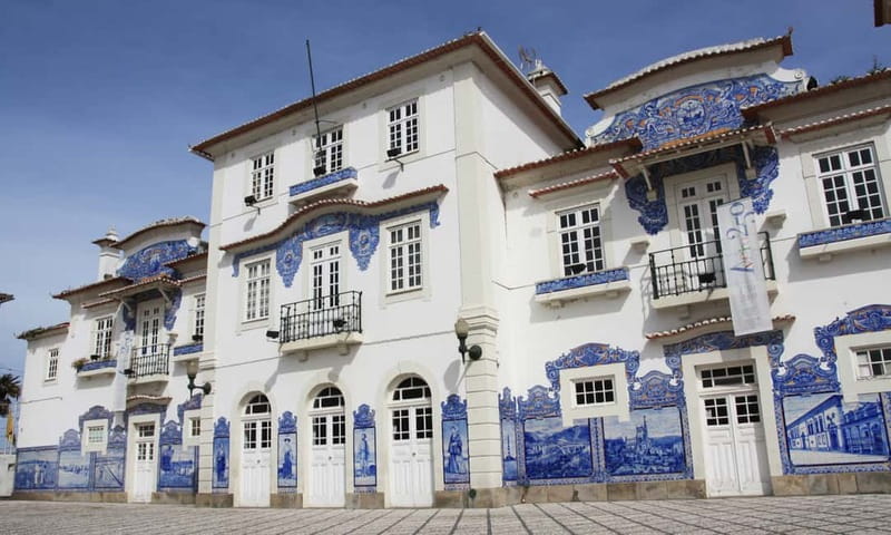 Porto: Aveiro, Cruise, Costa Nova & Capela da Pedra Full Day - Costa Nova’s striped houses and open beach
