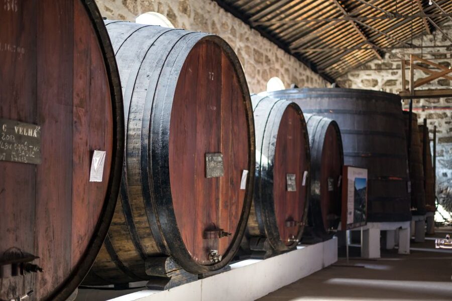 Porto: City Train Tour, River Cruise & Wine Cellar - The one-hour Douro cruise beneath six bridges