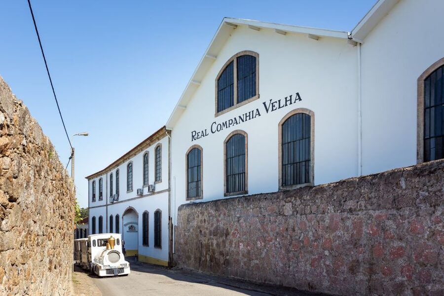 Porto: City Train Tour, River Cruise & Wine Cellar - Who will get the most from this experience?