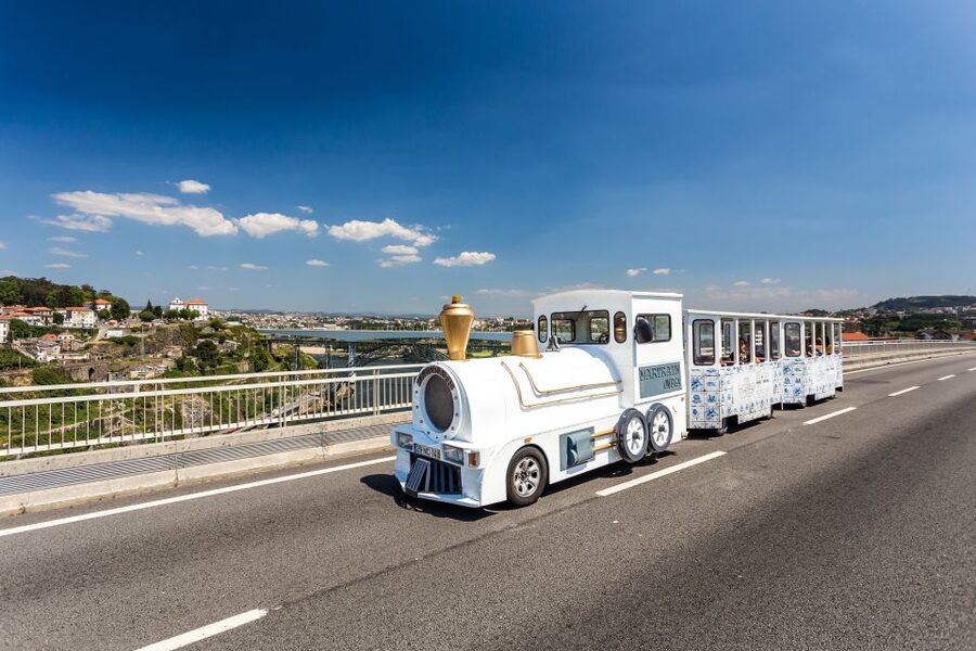 Porto: City Train Tour, River Cruise & Wine Cellar - Real Companhia Velha and the story of port wine