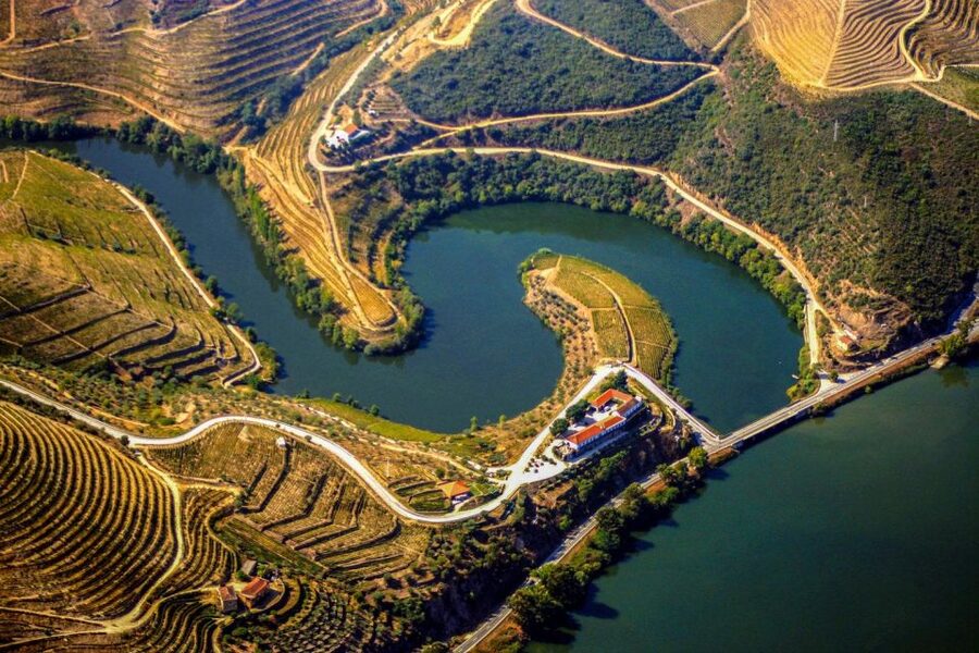Porto: Douro Valley Full-Day Boat, Train, and Lunch Tour - What the guides add to the experience