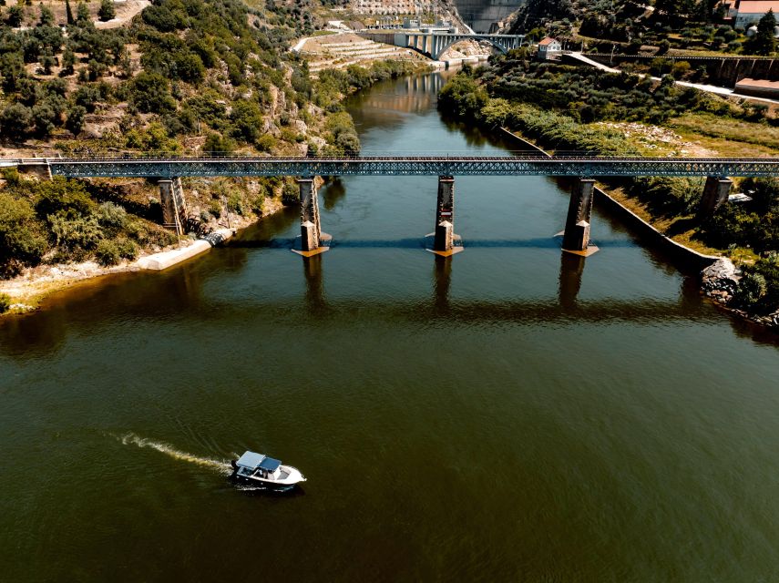 Porto: Douro Valley Full-Day Boat, Train, and Lunch Tour - Meeting the guide at Trindade Domus