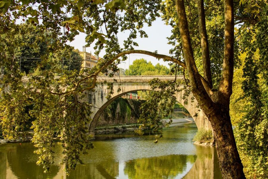 Porto: Douro Valley History & Wine Tour with Cruise & Lunch - Who should book this full-day outing