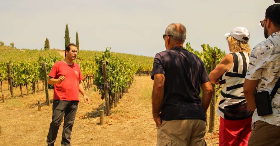 Porto: Douro Valley History & Wine Tour with Cruise & Lunch - São Leonardo da Galafura delivers the day’s big view
