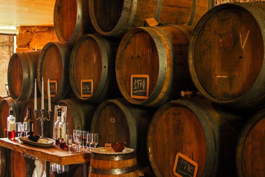 Porto: Douro Valley History & Wine Tour with Cruise & Lunch - A traditional Douro lunch is part of the value