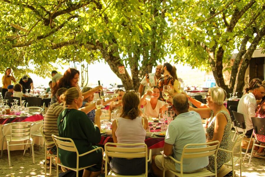 Porto: Douro Valley History & Wine Tour with Cruise & Lunch - The minibus makes a difficult route manageable