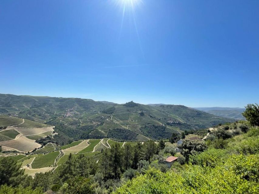 Porto: Douro Valley Tour with 2 Wineries, Lunch and Cruise - The Douro Valley and the N222