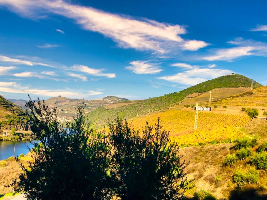 Porto: Douro Valley Tour with 2 Wineries, Lunch and Cruise - Two small wineries and a closer look at Port