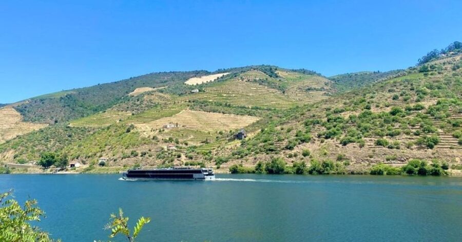 Porto: Douro Valley Tour with 2 Wineries, Lunch and Cruise - What the wine tasting is really like
