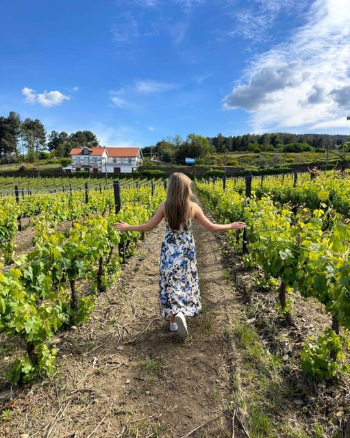 Porto: Douro Valley Tour with 2 Wineries, Lunch and Cruise - A long day, handled by a small team
