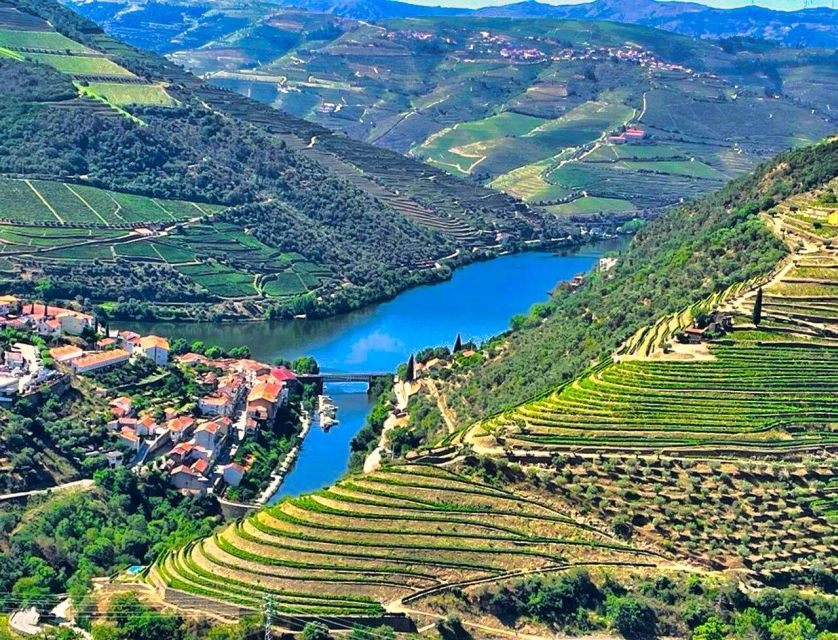Porto: Douro Valley Tour with 2 Wineries, Lunch and Cruise - Rain, fog, and changing plans