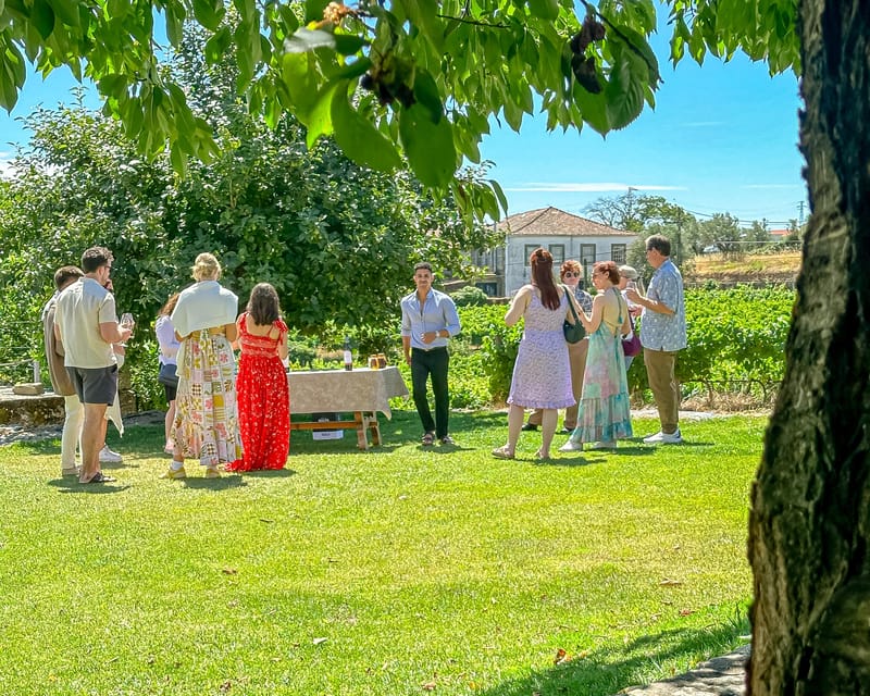 Porto: Douro Valley Tour with 2 Wineries, Lunch and Cruise - Meeting at Trindade and heading east