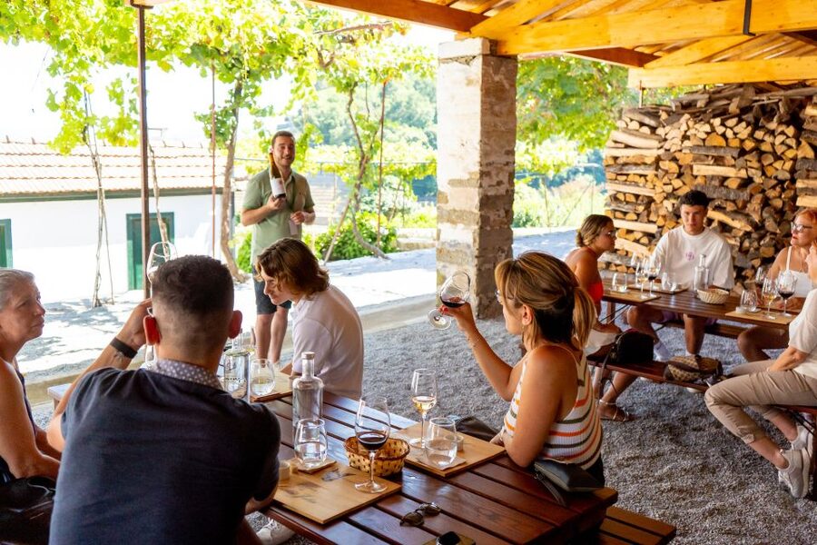 Porto: Douro Valley Tour with Lunch, Boat Cruise & Tastings - Guides, group atmosphere, and driving