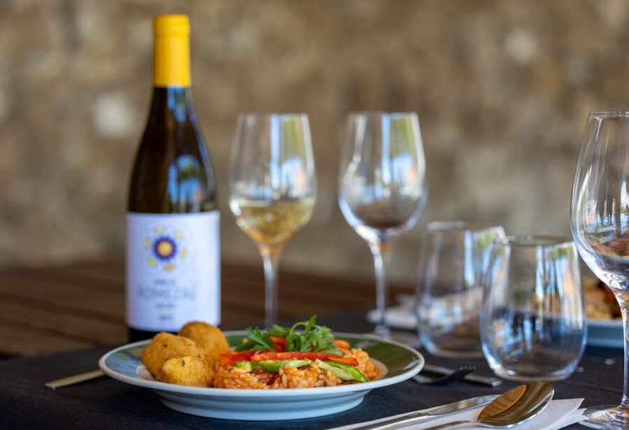 Porto: Douro Valley Tour with Lunch, Boat Cruise & Tastings - Pinhão and the Douro River cruise