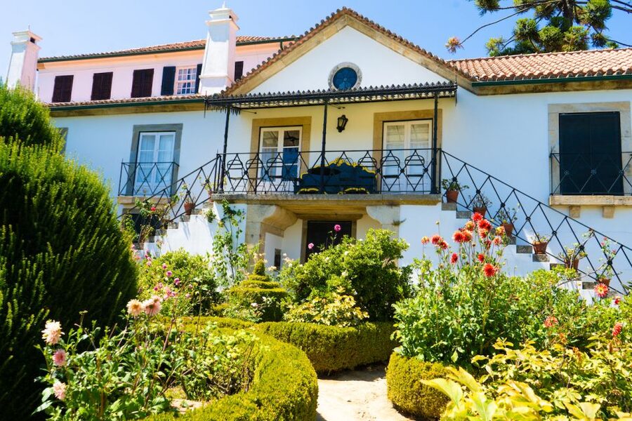 Porto: Douro Valley Tour with Lunch, Boat Cruise & Tastings - The N222 drive and final photo stops