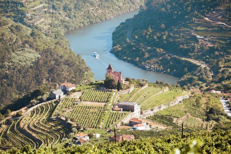Porto: Douro Valley Tour with Wine Tasting, Cruise and Lunch - Key points at a glance
