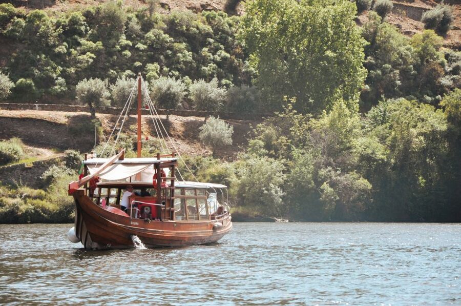 Porto: Douro Valley Tour with Wine Tasting, Cruise and Lunch - Who should book this day trip