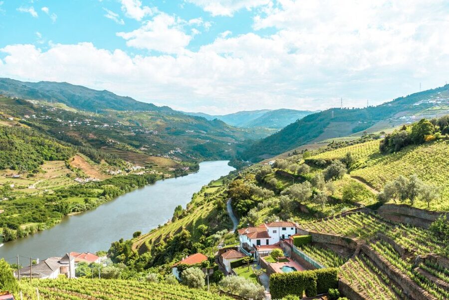 Porto: Douro Valley Tour with Wine Tasting, Cruise and Lunch - First winery: how port begins