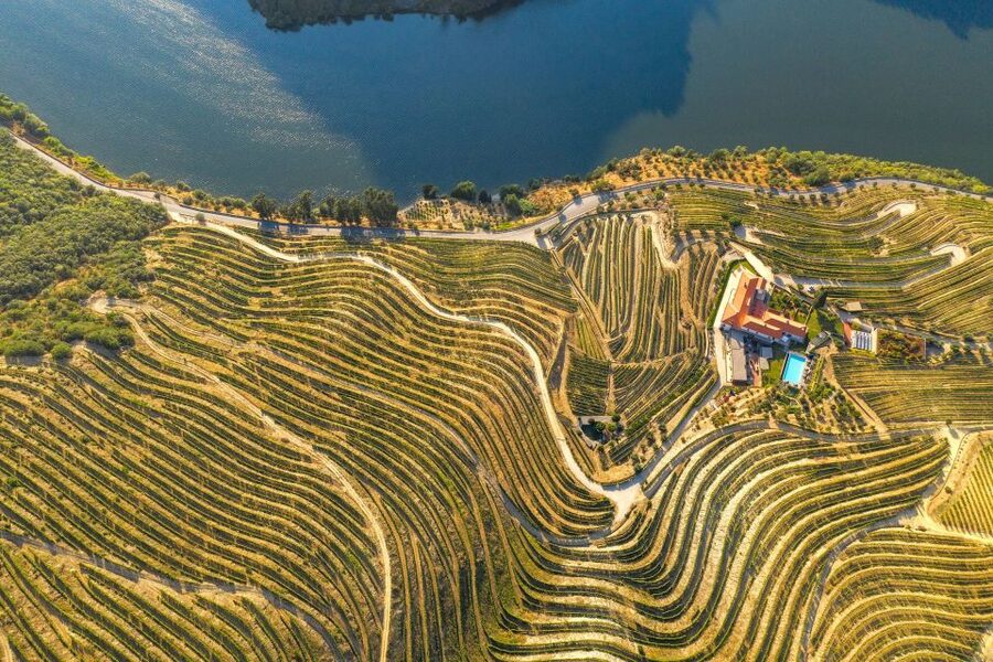 Porto: Douro Valley Tour with Wine Tasting, Cruise and Lunch - The Pinhão cruise and the Douro from the water