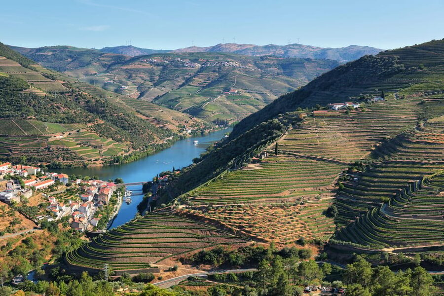 Porto: Douro Valley Wine Tour with a Sommelier & Boat Trip - Why this Porto wine tour feels different