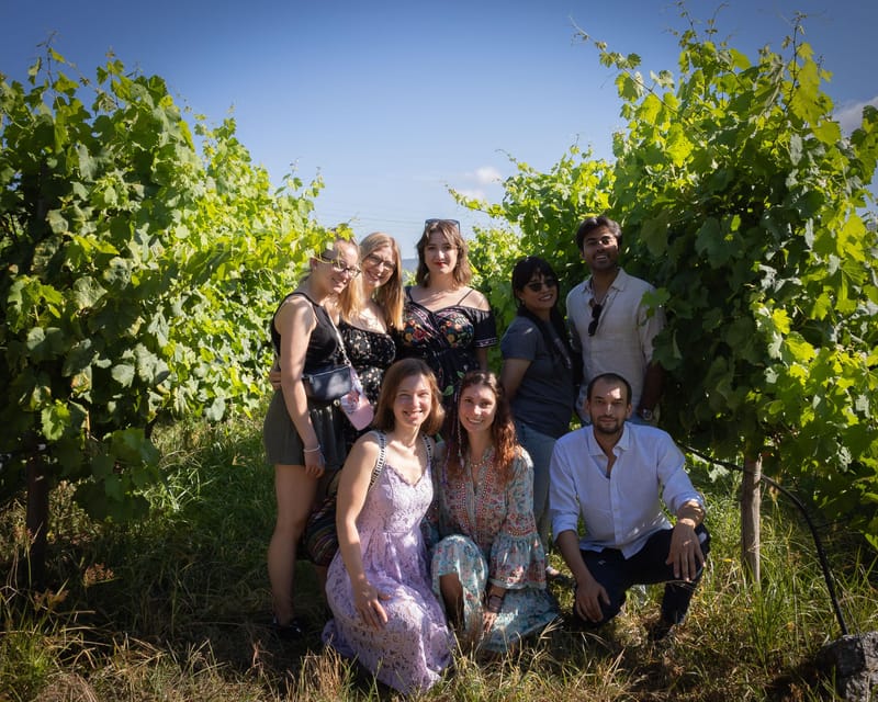Porto: Douro Valley Wine Tour with a Sommelier & Boat Trip - Practical booking advice