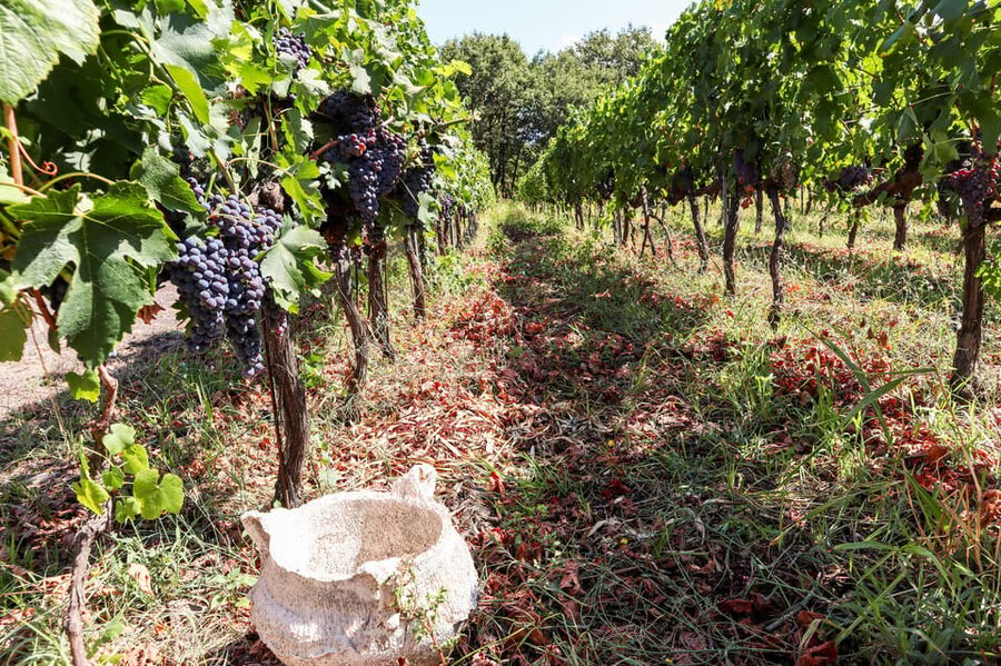 Porto: Douro Valley Wine Tour with a Sommelier & Boat Trip - One hour on the Douro River
