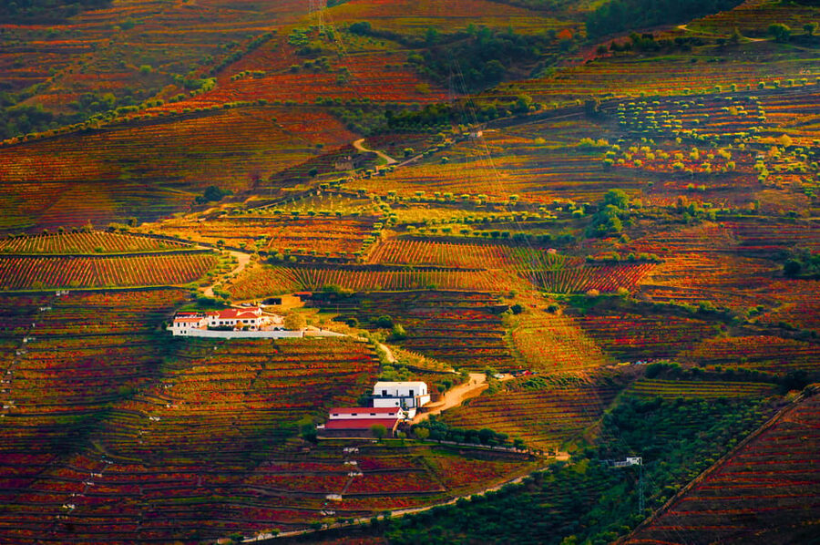 Porto: Douro Valley Wine Tour with a Sommelier & Boat Trip - What the $127 price really includes