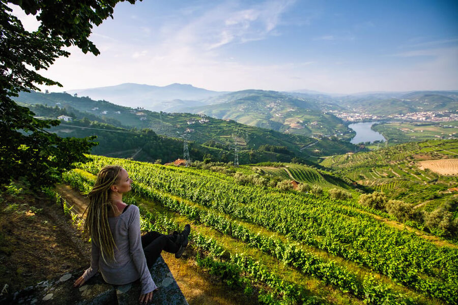 Porto: Douro Valley Wine Tour with a Sommelier & Boat Trip - Who will enjoy this day most