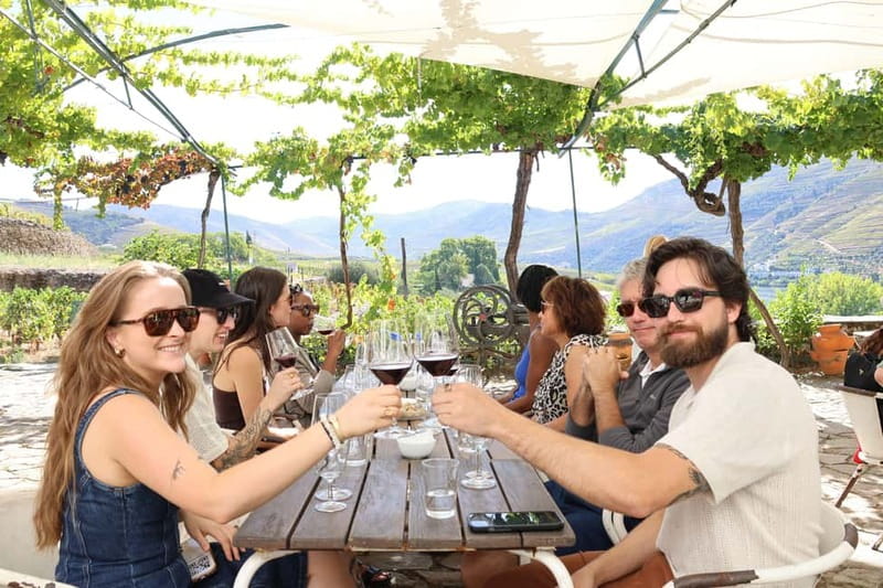 Porto: Douro Valley Wine Tour with Tastings, Lunch & Cruise - Key points at a glance