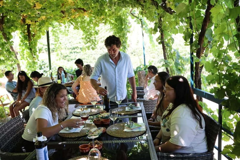 Porto: Douro Valley Wine Tour with Tastings, Lunch & Cruise - A home-style lunch with Douro wine