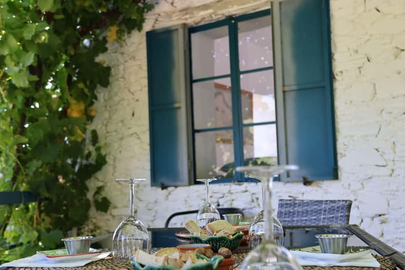 Porto: Douro Valley Wine Tour with Tastings, Lunch & Cruise - The one-winery or two-winery choice