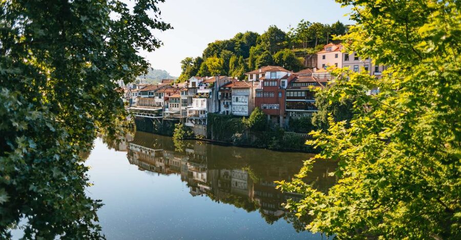 Porto: Douro Valley with Winery Lunch, Tastings & Cruise - Practical advice for a smoother day