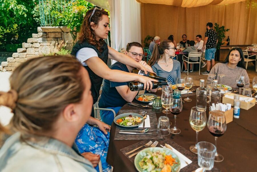 Porto: Douro Valley with Winery Lunch, Tastings & Cruise - Why the Douro Valley deserves a full day from Porto