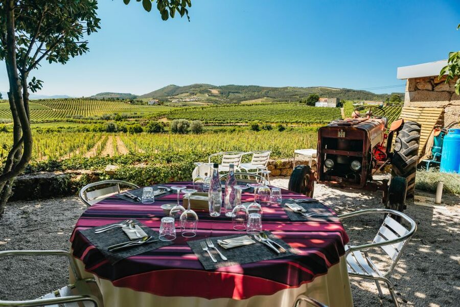Porto: Douro Valley with Winery Lunch, Tastings & Cruise - The famous N222 drive back to Porto