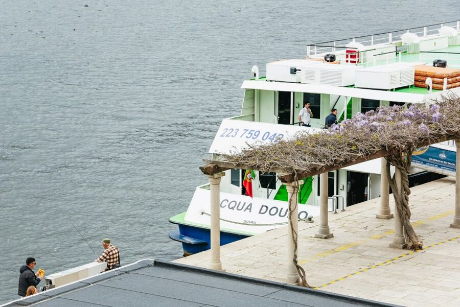 Porto - Régua - Porto Upstream Douro Cruise & Tour - The Douro Valley grows more scenic near Régua