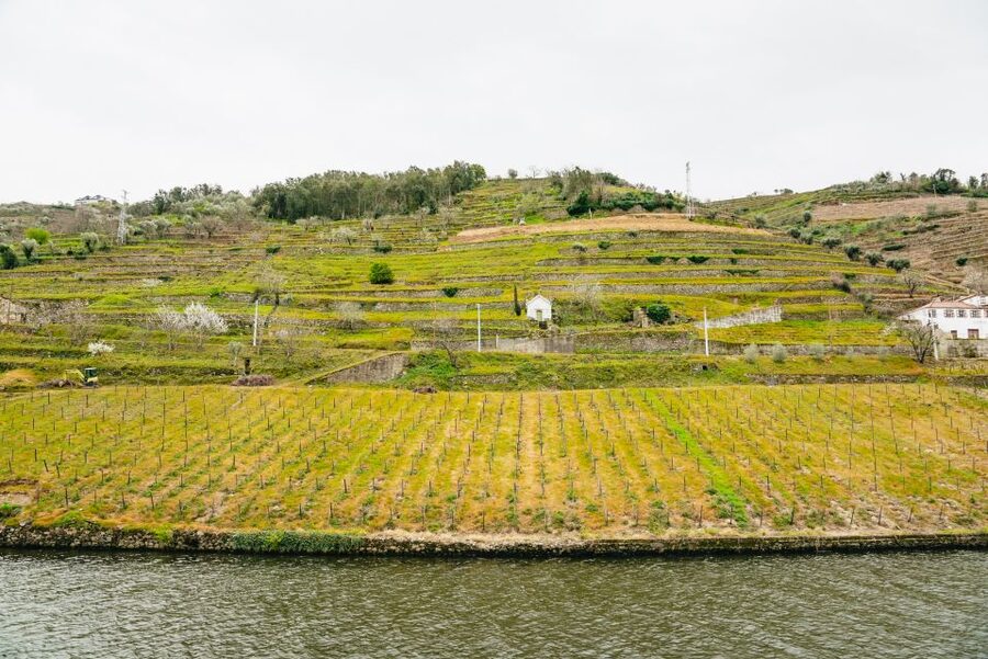 Porto - Régua - Porto Upstream Douro Cruise & Tour - Comfort, crowds, and practical limits