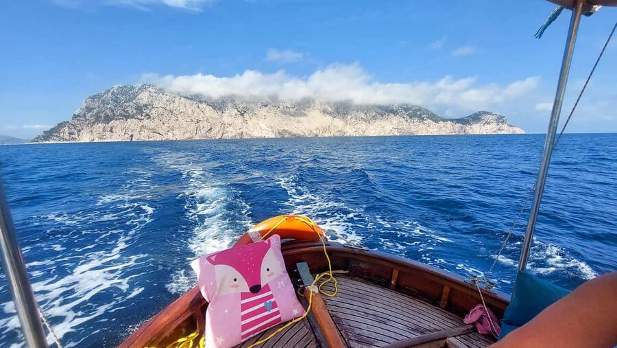 Porto San Paolo: Half Day Boat Tour to Tavolara and Molara - Tavolara from the water, cliffs, and the great sea arch