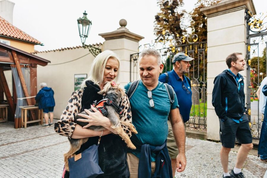 Prague: City Highlights By Bus, Boat, and on Foot - Should you book it?