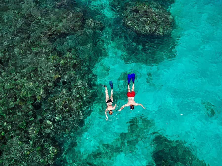 Praslin: Curieuse & St. Pierre Full-Day Boat Trip with Lunch - Why this seven-hour outing earns a place on your Praslin schedule