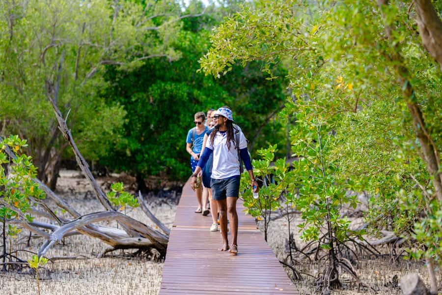Praslin: Curieuse & St. Pierre Full-Day Boat Trip with Lunch - Who should book this boat trip