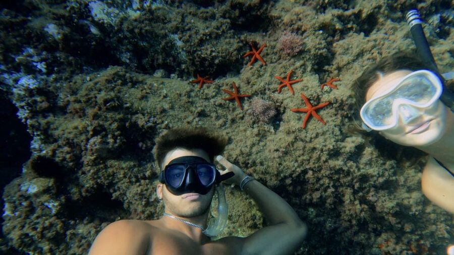Procida: Boat Tour with Swimming Stops and Underwater Photos - What the boat experience feels like