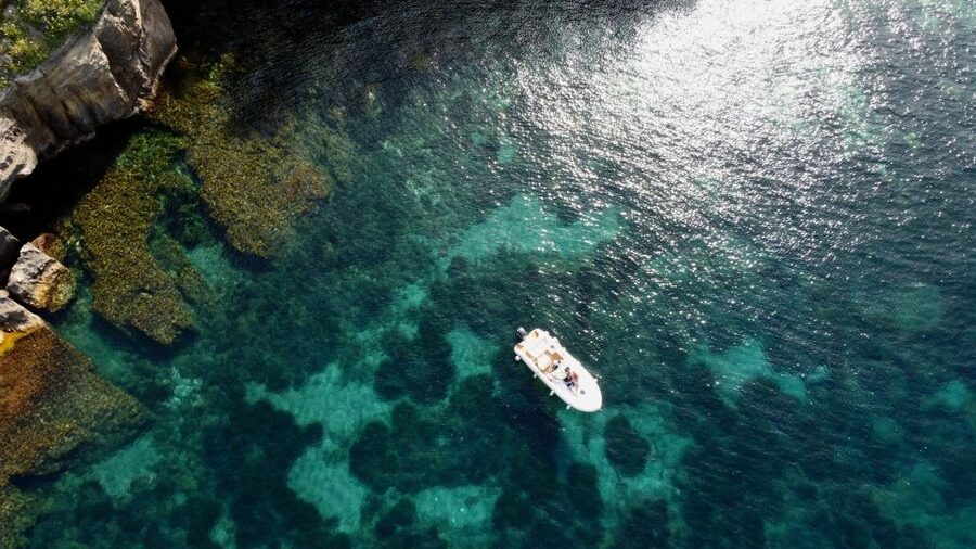 Procida: Boat Tour with Swimming Stops and Underwater Photos - Palazzo d’Avalos from the sea