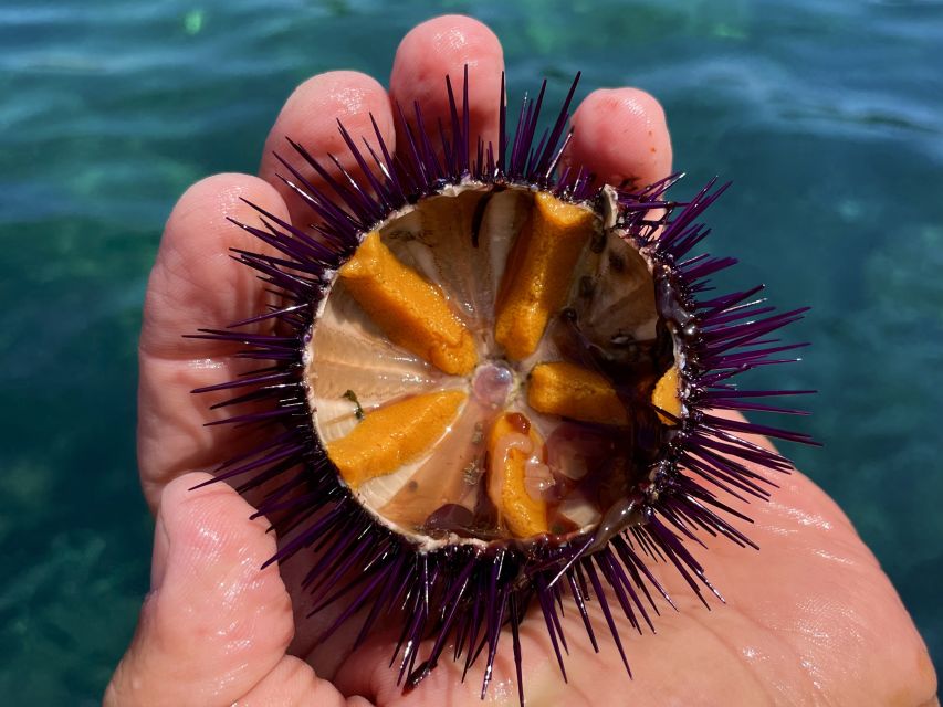 Procida: Boat Tour with Swimming Stops and Underwater Photos - Two swim stops with masks and fish