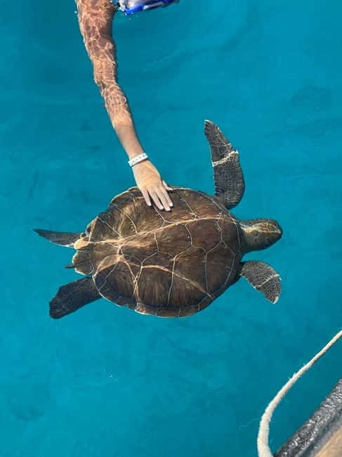 Protaras: Blue Lagoon and Turtles Pirate Cruise - Why this cruise works so well for a Protaras holiday