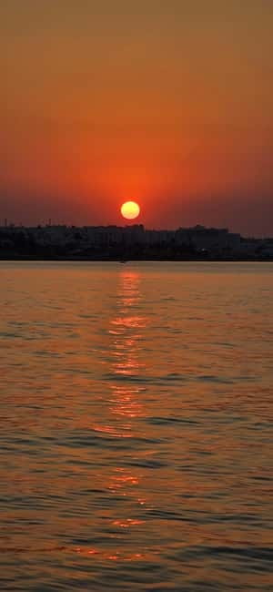 Protaras: Famagusta, Blue Lagoon and Turtle Cove Boat Trip - Turtle Cove and the chance to swim with turtles