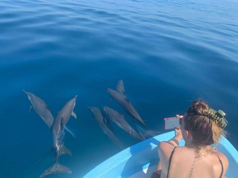 Puerto Escondido: Boat Tour to see Dolphins and Marine Life - Puerto Angelito to the open water